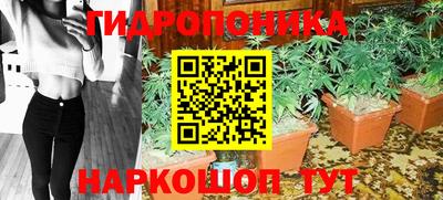 ECSTASY Будённовск