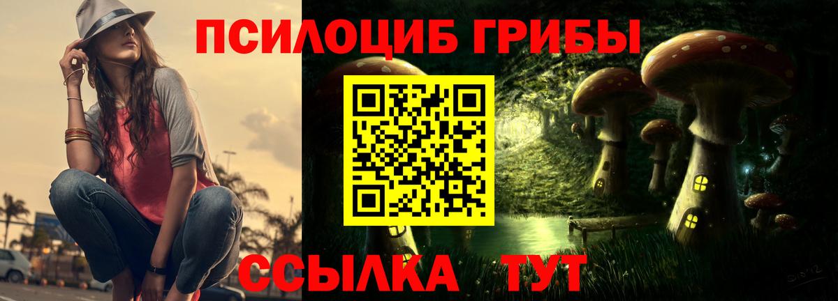 Галлюциногенные грибы мухоморы  Псилоцибиновые грибы мицелий  Сибай  Вход с VPN 